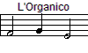 L'Organico